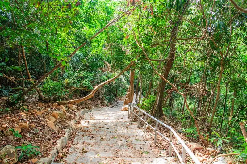 wanderlust-tips-du-hi-xung-quanh-sai-gon-4