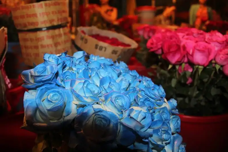 wanderlust-tips-sai-gon-thanh-pho-khong-ngu-6