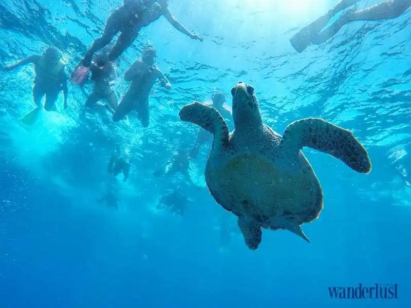 wanderlust-tips-toi-da-phai-long-maldives01