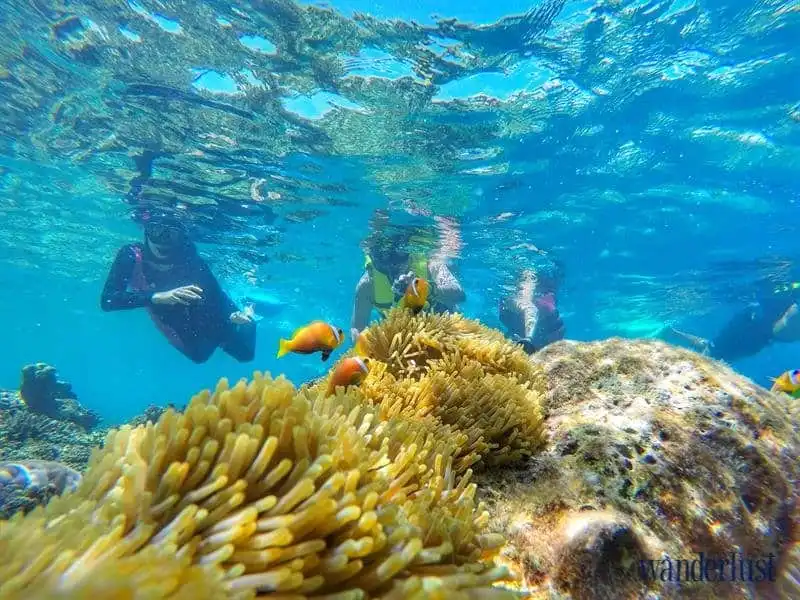 wanderlust-tips-toi-da-phai-long-maldives304