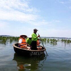 wanderlust tips tuong tour du lich trong dua nuoc o hoi an1