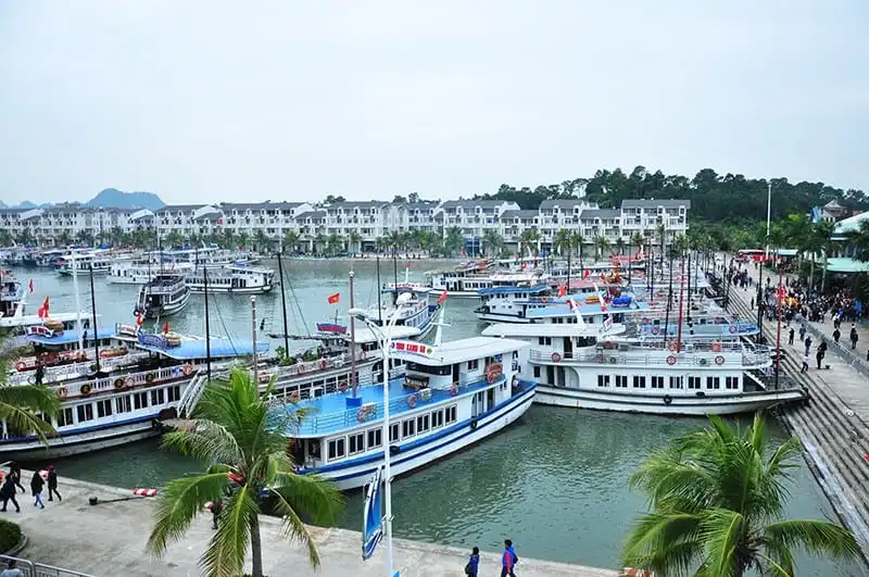 Vé khứ hồi cảng Tuần Châu là 40.000VND/lượt từ 28/5 5 wanderlust-tips-ve-khu-hoi-cang-tuan-chau-la-40000vndluot-tu-285-1