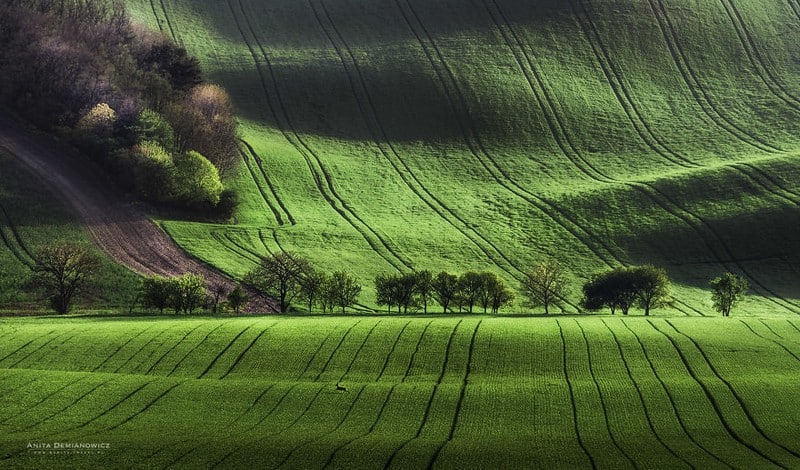 wanderlust tip phong canh thien nhien dep nhu tranh son dau o czech 1