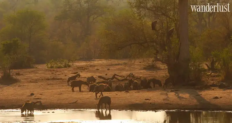 Wanderlust Tips 15 dia diem ngam binh minh dep hon tren gioi 13