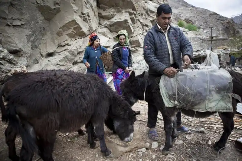 wanderlust-bo-toc-bi-voi-van-hoa-song-trao-doi-vo-tu-thoai-mai-3