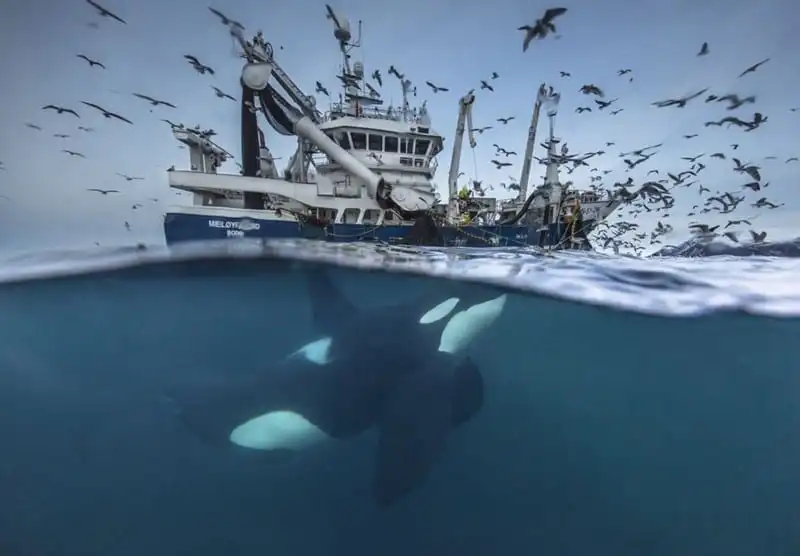 wanderlust-tip-13-hinh-anh-truyen-cam-hung-de-ban-xach-ba-lo-len-va-di-12