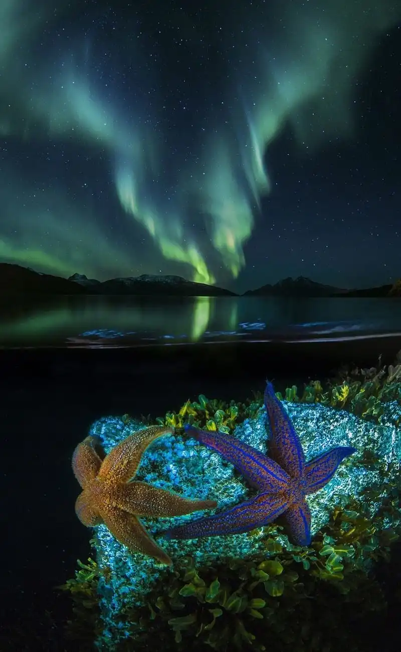 wanderlust-tip-13-hinh-anh-truyen-cam-hung-de-ban-xach-ba-lo-len-va-di-6