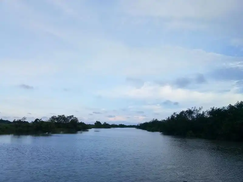 Cồn Đen - Điểm đến không thể bỏ qua của "quê hương chị Hai 5 tấn" 6 wanderlust-tip-con-den-diem-den-khong-the-bo-qua-cua-que-huong-nam-tan-2