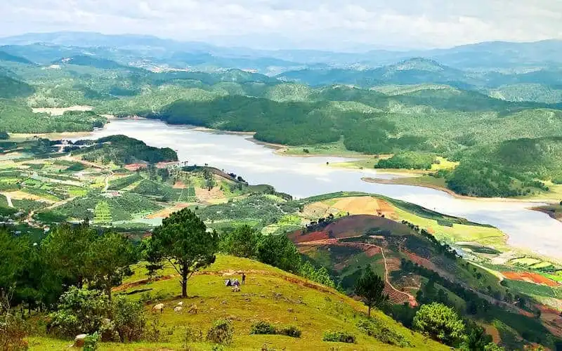 Khám phá Langbiang - nóc nhà của thành phố ngàn hoa 7 wanderlust-tip-kham-pha-langbiang-noc-nha-cua-thanh-pho-ngan-hoa-4