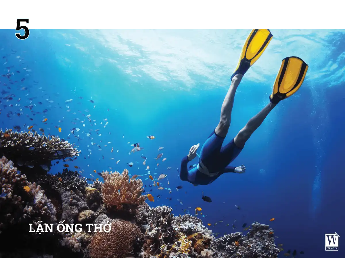 9 loại hình du lịch thể thao đầy phấn khích 10 wanderlust-tips-9-loai-hinh-du-lich-thao-day-phan-khich-6