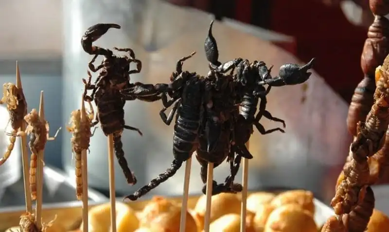 Bò cạp Bảy Núi - đặc sản An Giang không phải ai cũng dám thử 8 wanderlust-tips-bo-cap-bay-nui-dac-san-an-giang-khong-phai-ai-cung-dam-thu-1