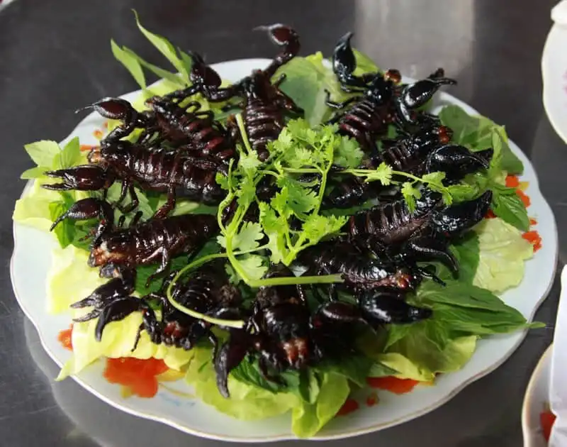 Bò cạp Bảy Núi - đặc sản An Giang không phải ai cũng dám thử 7 wanderlust-tips-bo-cap-bay-nui-dac-san-an-giang-khong-phai-ai-cung-dam-thu-3