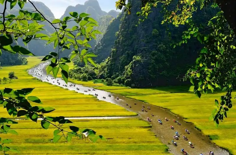 Đẹp say lòng mùa vàng Tam Cốc 5 wanderlust-tips-dep-say-long-mua-vang-tam-coc-1