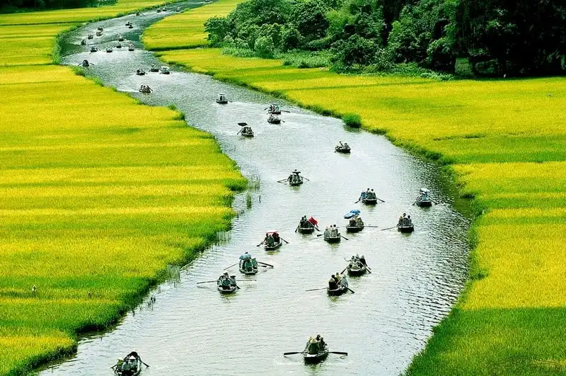 Đẹp say lòng mùa vàng Tam Cốc 9 wanderlust-tips-dep-say-long-mua-vang-tam-coc-5