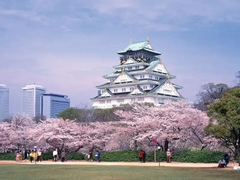 wanderlust-tips-jetstar-pacific-khai-truong-duong-bay-gia-re-nhat-ban-viet-nam-1