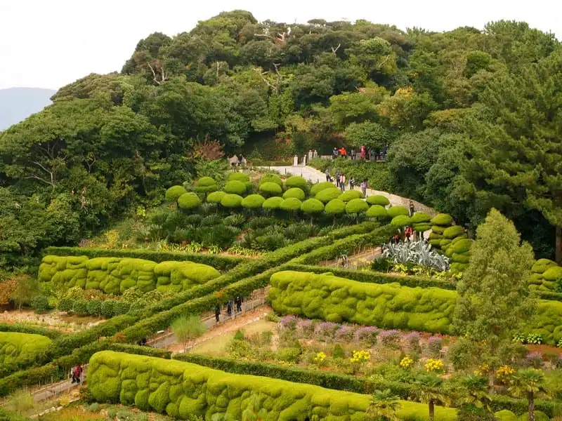Lạc lối giữa vẻ đẹp như mơ của Vườn địa đàng Oedo-Botania 7 wanderlust-tips-lac-loi-giua-khung-canh-dep-nhu-mo-cua-vuon-dia-dang-oedo-botania-han-quoc-1