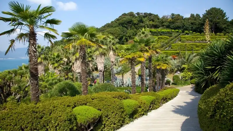 Lạc lối giữa vẻ đẹp như mơ của Vườn địa đàng Oedo-Botania 6 wanderlust-tips-lac-loi-giua-khung-canh-dep-nhu-mo-cua-vuon-dia-dang-oedo-botania-han-quoc-2