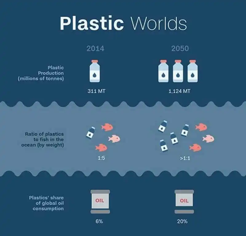 wanderlust-tips-nhat-ky-duong-chay-run-for-the-oceans-nang-cao-nhan-thuc-bao-ve-dai-duong-1