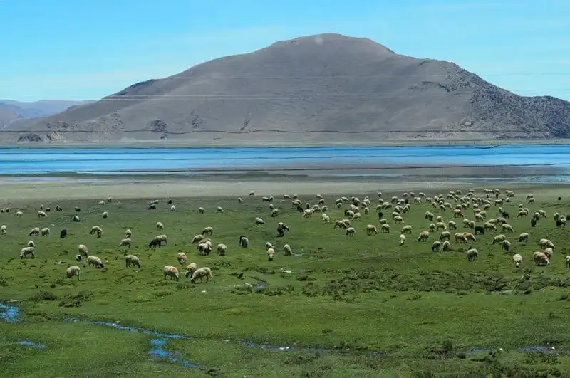 Nhật ký hành trình 10 ngày ở Tây Tạng (Kỳ 4) 11 wanderlust-tips-nhat-ky-hanh-trinh-10-ngay-o-tay-tang-ky-4-6