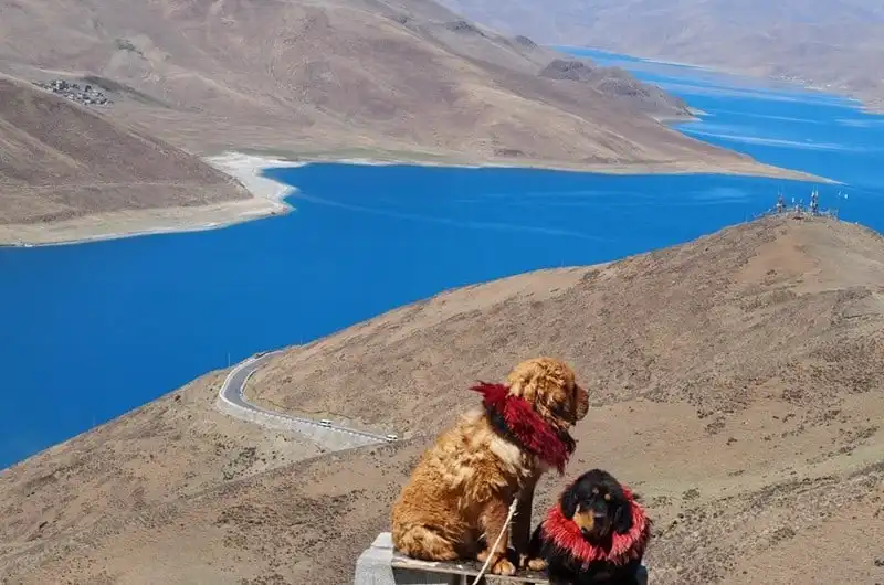 Nhật ký hành trình 10 ngày ở Tây Tạng (Kỳ 4) 6 wanderlust-tips-nhat-ky-hanh-trinh-10-ngay-o-tay-tang-ky-4-9