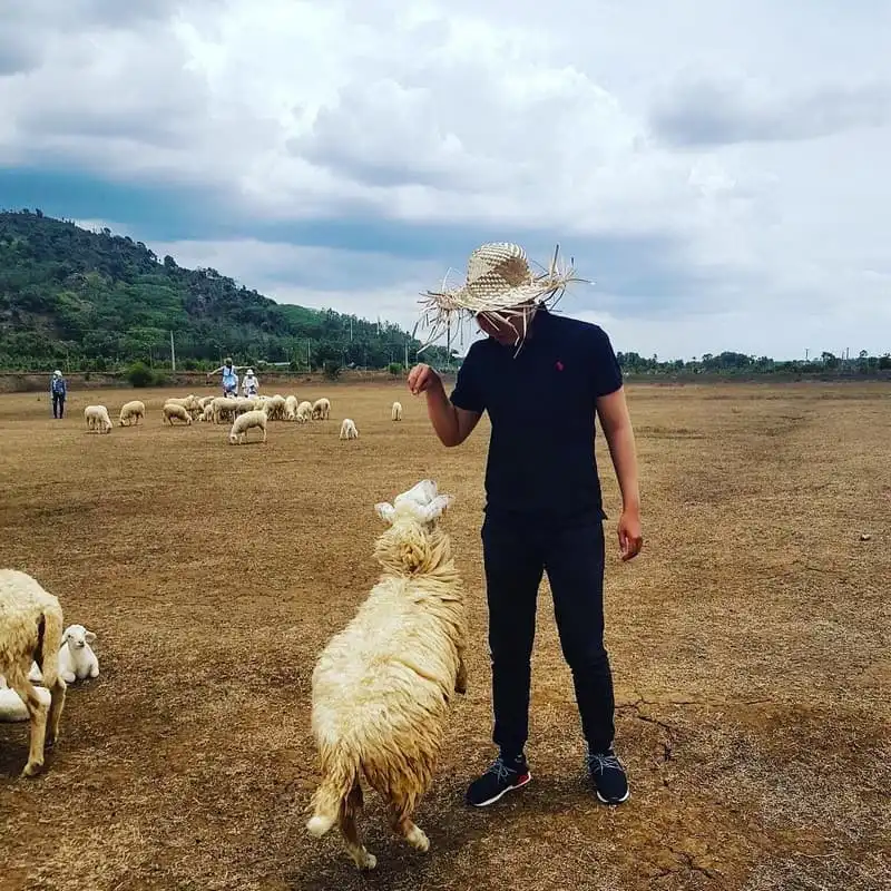 "Sống ảo" tại cánh đồng cừu tuyệt đẹp ở Vũng Tàu 8 wanderlust-tips-song-ao-tai-canh-dong-cuu-tuyet-dep-o-vung-tau-4
