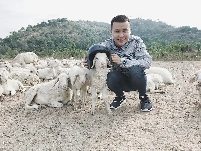 "Sống ảo" tại cánh đồng cừu tuyệt đẹp ở Vũng Tàu 9 wanderlust-tips-song-ao-tai-canh-dong-cuu-tuyet-dep-o-vung-tau-8