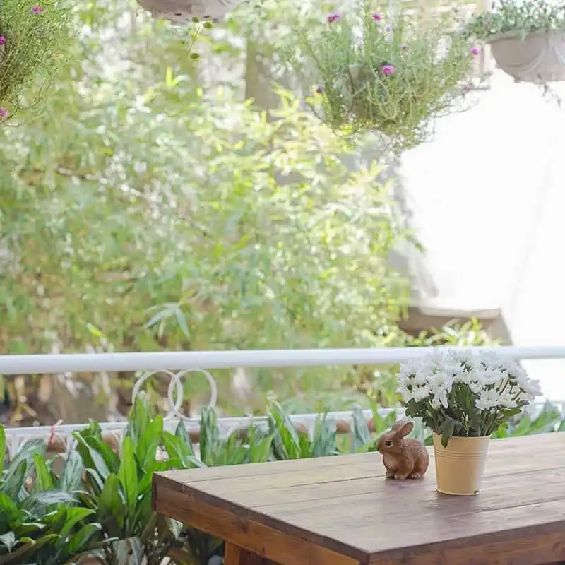 4 homestay cực xinh ở Hà Nội để bạn "đưa nhau đi trốn" 11 wanderlust tips 4 homestay cuc xinh o ha noi de ban dua nhau di tron 8