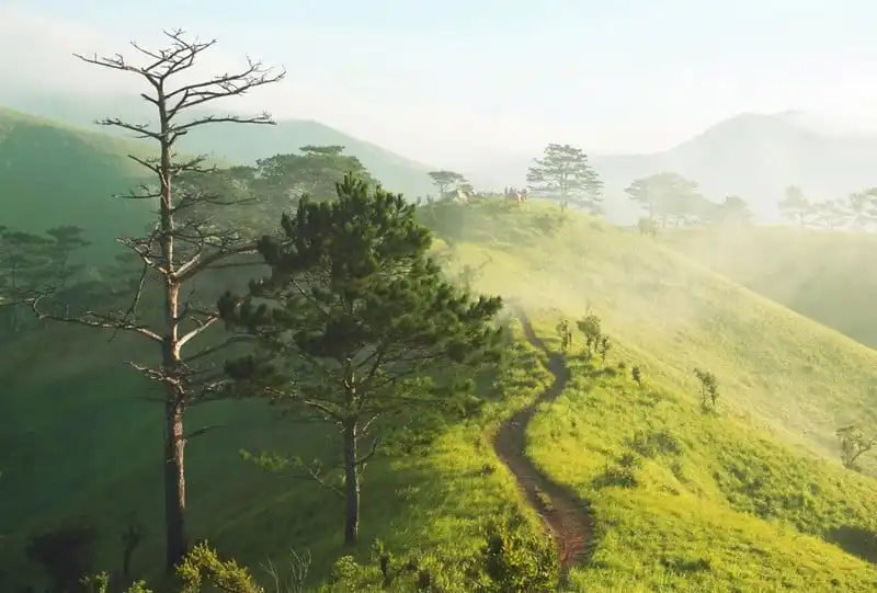 wanderlust tips 5 cung duong phuot trekking dep nhat viet nam 1