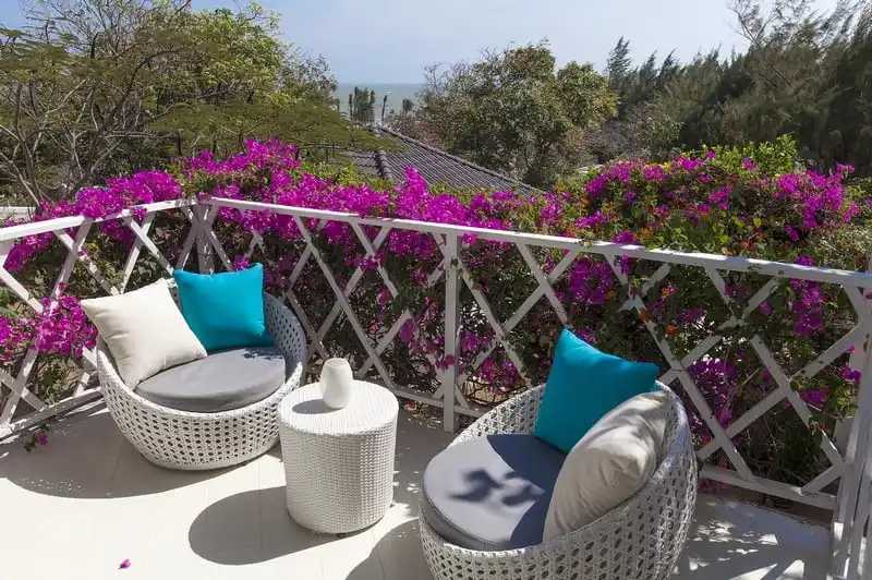 "Ốc đảo xanh" tuyệt đẹp Alma Oasis Long Hải 5 wanderlust tips alma oasis long hai oc dao xanh tuyet dep tai ba ria vung tau 5