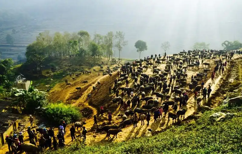 Check-in tại những địa điểm chụp ảnh đẹp nhất ở Lào Cai 8 wanderlust tips check tai nhung dia diem chup anh dep nhat o lao cai 4