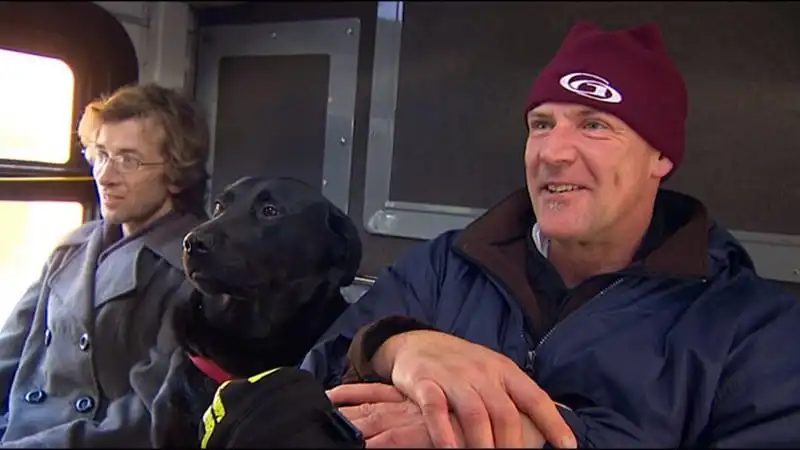 Chú chó tự bắt xe bus tới công viên đi dạo mỗi ngày 6 wanderlust tips chu cho tu bat xe bus toi cong vien di dao moi ngay 3