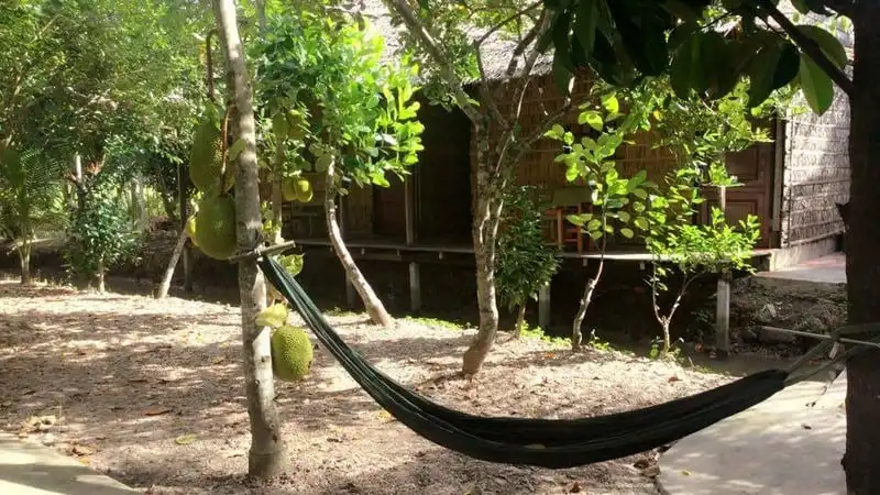 Đến Cần Thơ, hãy ở homestay cùng người dân địa phương 24 wanderlust tips den can tho hay o homestay cung nguoi dan dia phuong 20