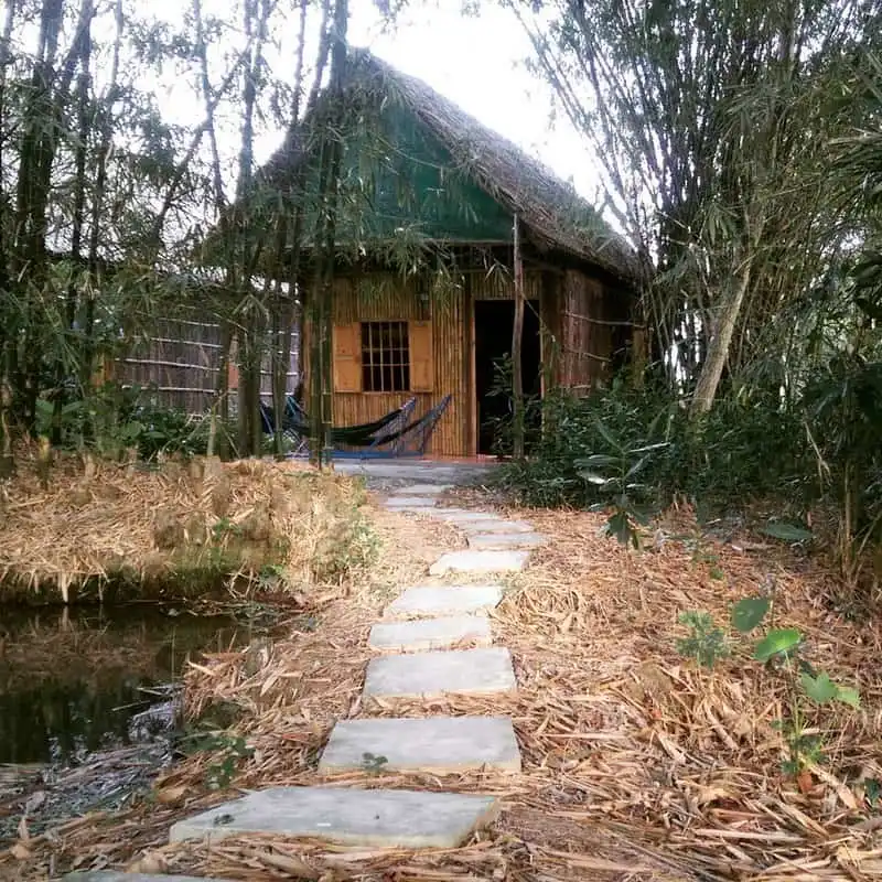 Đến Cần Thơ, hãy ở homestay cùng người dân địa phương 6 wanderlust tips den can tho hay o homestay cung nguoi dan dia phuong 3