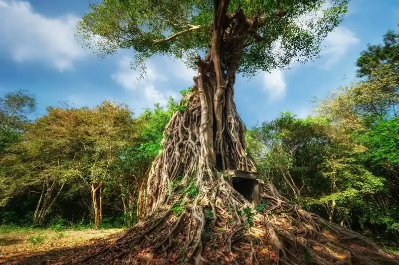 wanderlust tips den sambor prei kuk hut du khach sau khi tro thanh di san gioi 2