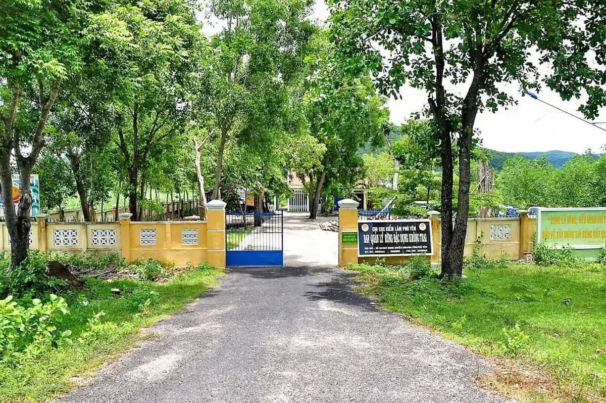 wanderlust tips diem du lich phu yen hap dan 14