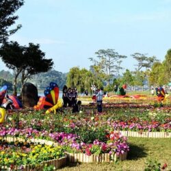 wanderlust tips diem nhan ho xuan huong tai festival hoa da lat 2017 0