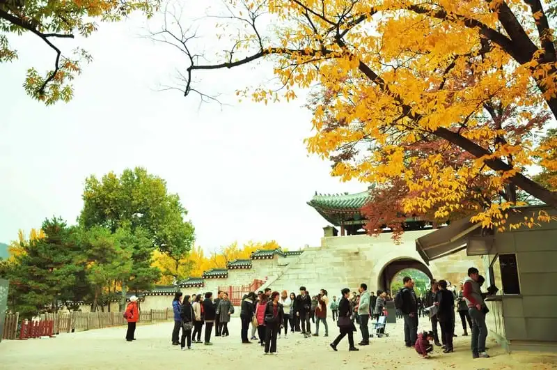 Hàn Quốc nới lỏng chính sách thị thực cho công dân Việt Nam 6 wanderlust tips han quoc noi long chinh sach thi thuc cho cong dan viet nam 0