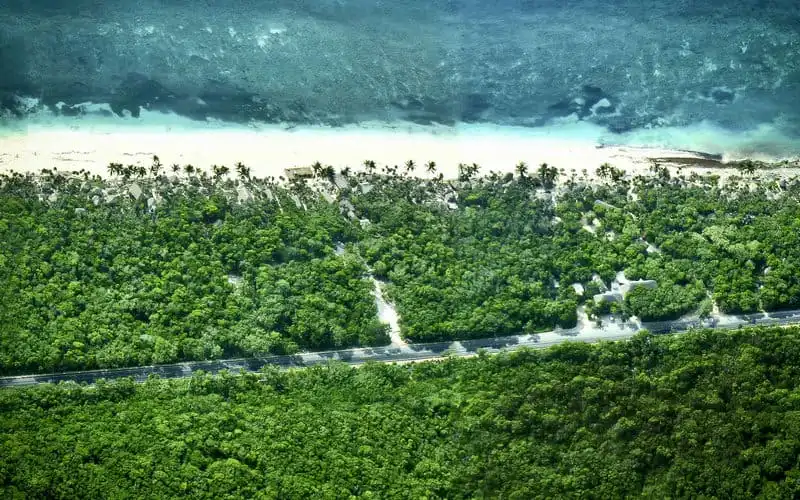 Độc đáo khách sạn trên cây bên bờ biển Mexico 5 wanderlust tips khach san tren cay ben bo bien