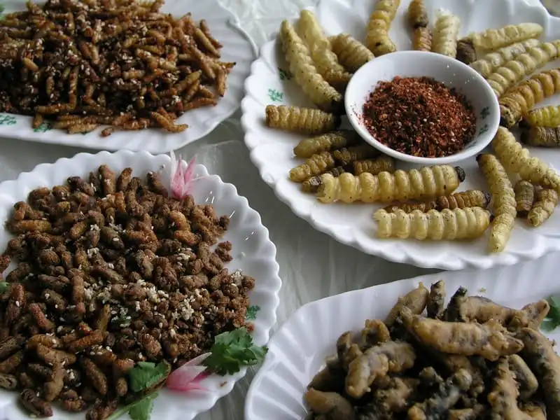 wanderlust tips loi choi sa ot dac san kho quen cua mien dat tra vinh 2