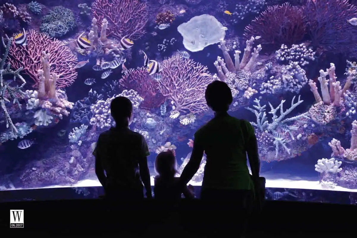 wanderlust tips mot vong antalya nhung goc nho ngot ngao 6