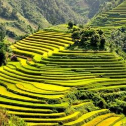 wanderlust tips mu cang chai chuc su kien van hoa ton vinh danh thang ruong bac thang 0