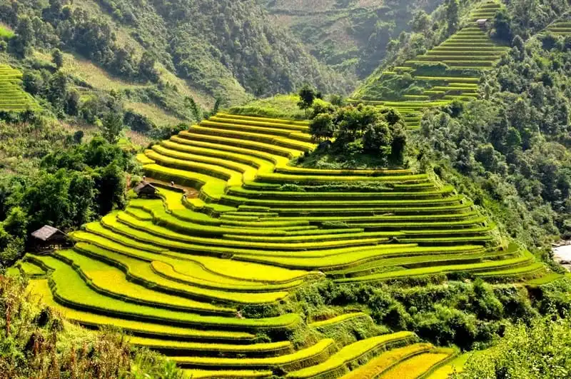 wanderlust tips mu cang chai chuc su kien van hoa ton vinh danh thang ruong bac thang 1