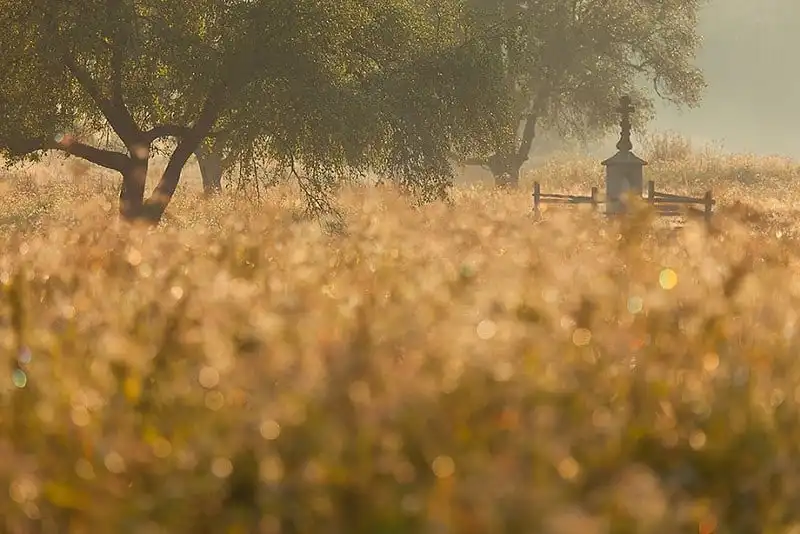 wanderlust tips ngan ngo voi phong canh tuyet dep noi bien gioi ba lan slovakia 15