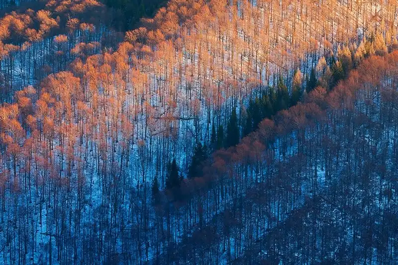 wanderlust tips ngan ngo voi phong canh tuyet dep noi bien gioi ba lan slovakia 7