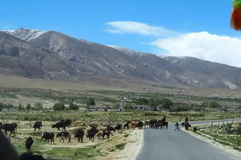 wanderlust tips nhat ky hanh trinh 10 ngay o tay tang ky 7 1