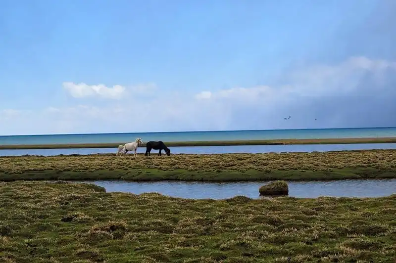 Nhật ký hành trình 10 ngày ở Tây Tạng (Kỳ 8) 6 wanderlust tips nhat ky hanh trinh 10 ngay o tay tang ky 8 10