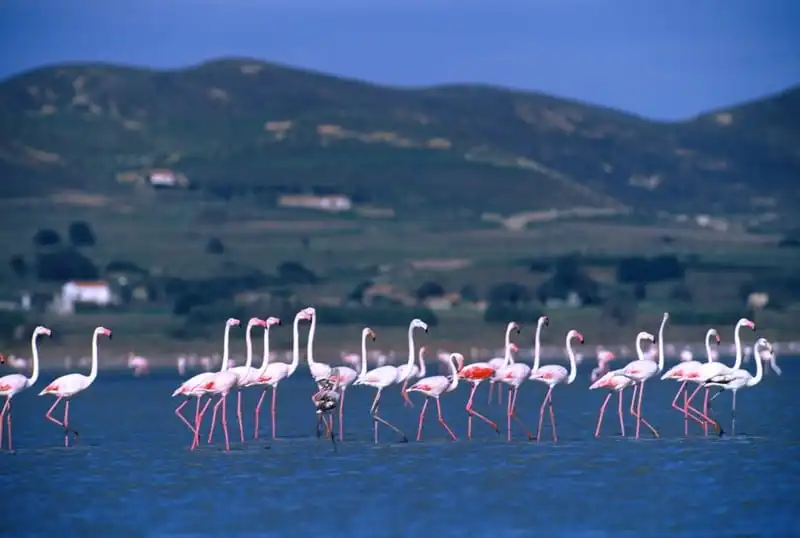 Những địa điểm đẹp như mơ trong "Hậu duệ của mặt trời" 17 wanderlust tips nhung dia diem dep nhu mo trong hau due cua mat troi 16