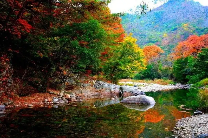 Những địa điểm đẹp như mơ trong "Hậu duệ của mặt trời" 20 wanderlust tips nhung dia diem dep nhu mo trong hau due cua mat troi 18