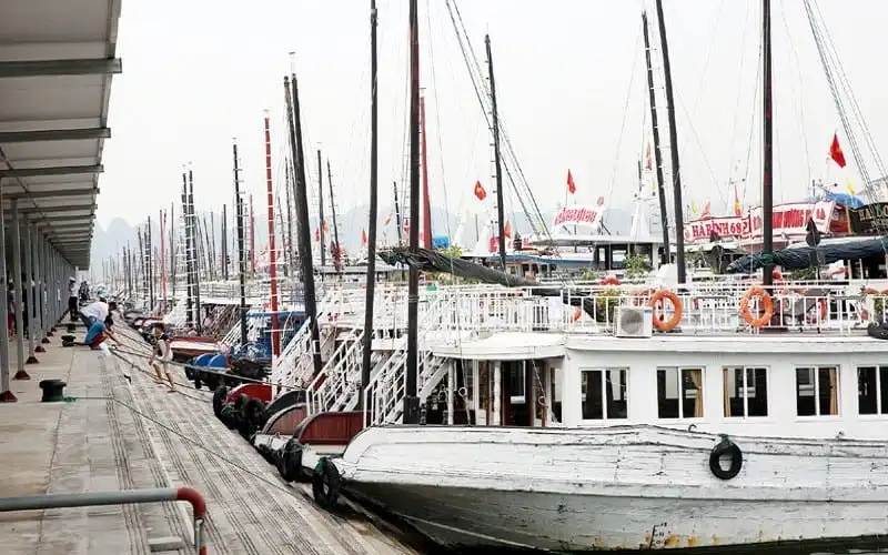 Quảng Ninh đình chỉ hoạt động 14 tàu du lịch trên Vịnh Hạ Long 5 wanderlust tips quang ninh dinh chi hoat dong 14 tau du lich tren vinh ha long 1