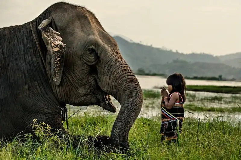 Triển lãm Di sản vô giá của nhiếp ảnh gia Réhahn tại Hội An 6 wanderlust tips trien lam di san vo gia cua nhiep anh gia rehahn tai hoi an 2